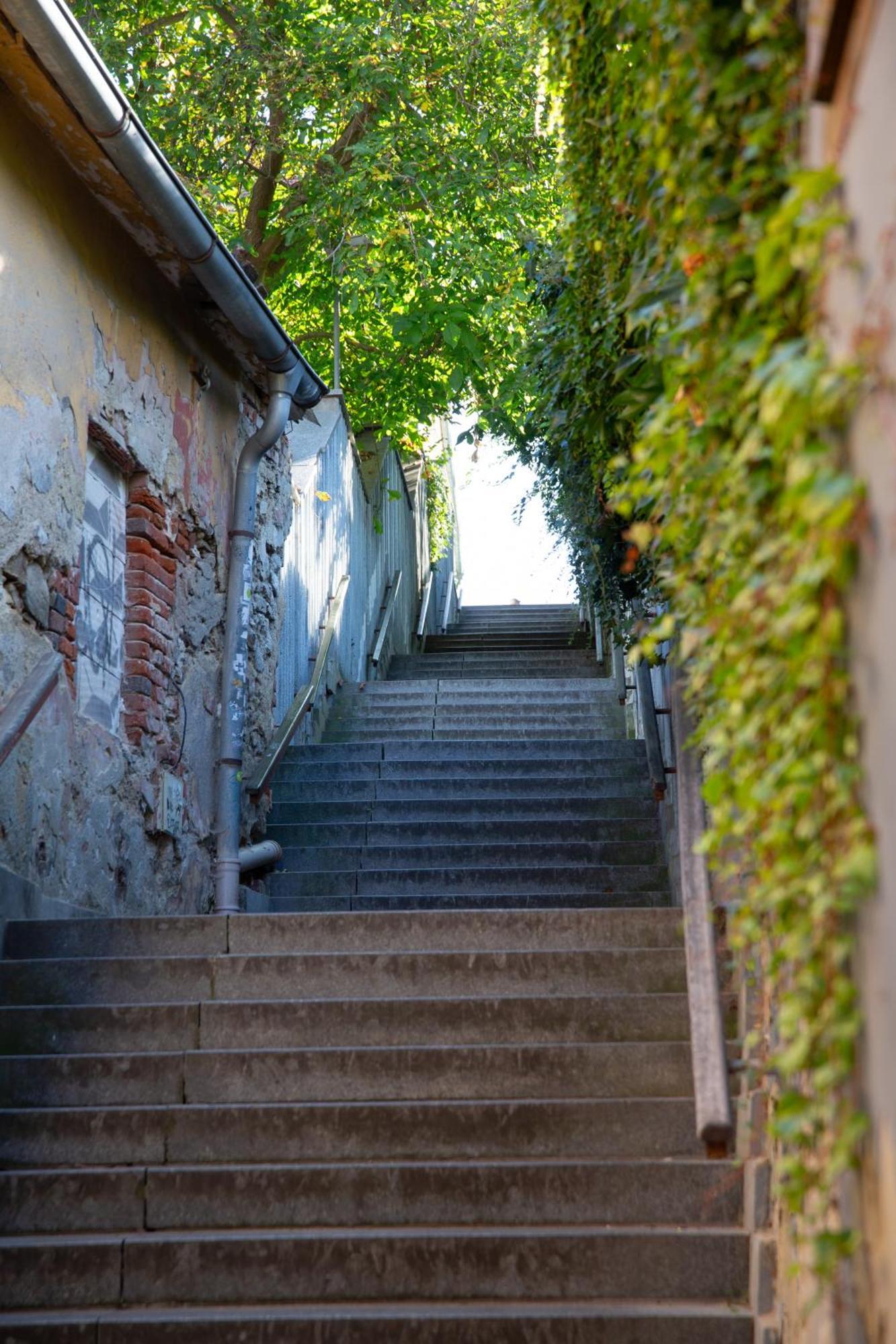 Rezidence Plesivec - Rodinny S 3 Loznicemi Český Krumlov